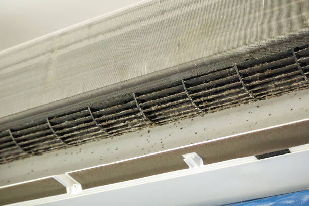 Best HVAC System Cleaning  in East Renton Highlands, WA