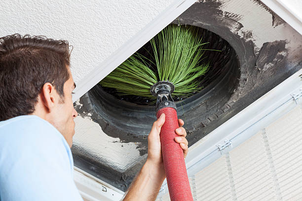 Best Home Air Vent Cleaning  in East Renton Highlands, WA